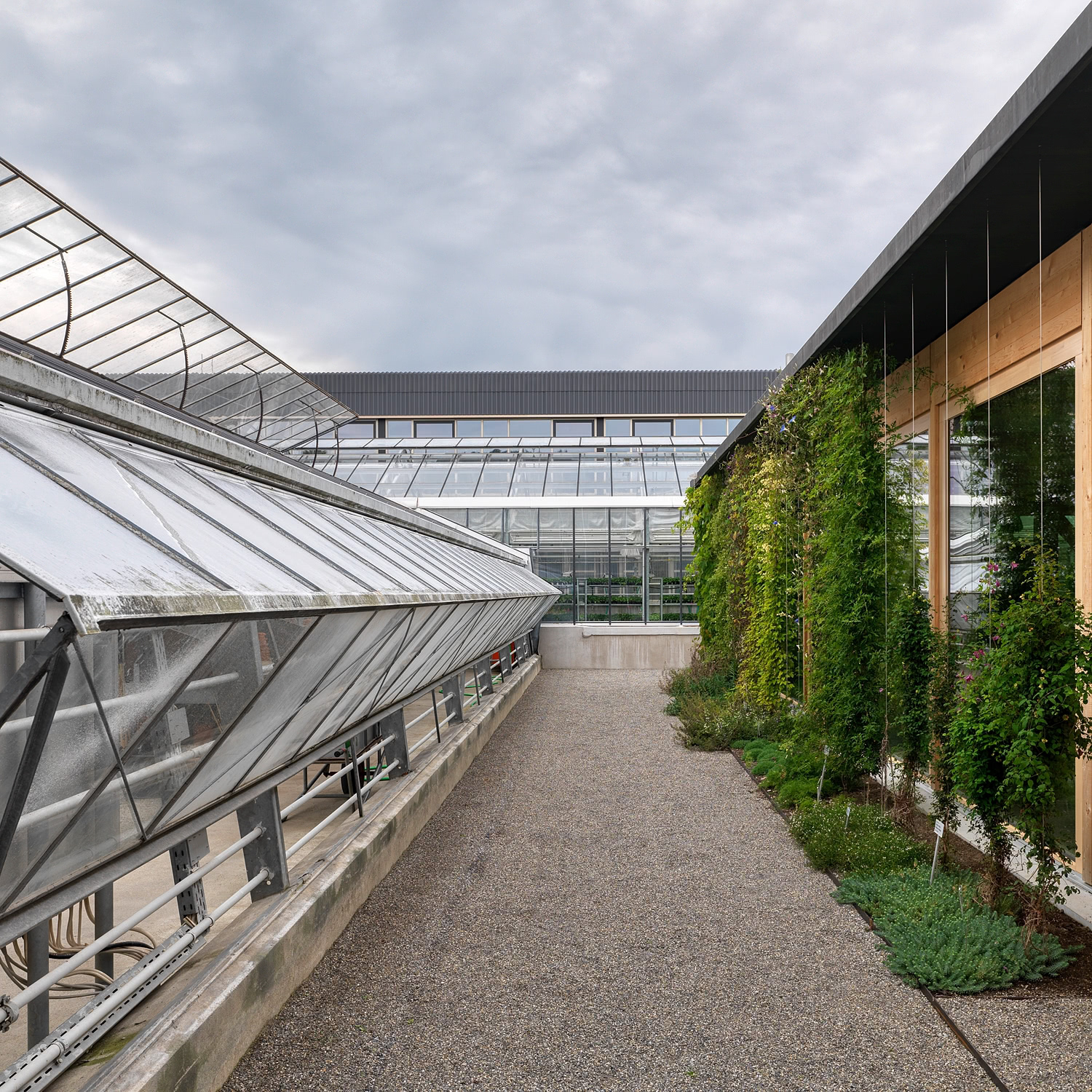 Tom Munz Architekt, Neubau Vortragsraum Botanischer Garten St.Gallen